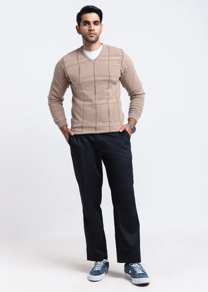 Mashroom-V-Neck Full Sleeves Sweater (506-14) - Image 4