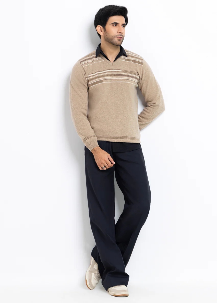 Mashroom-V-Neck Full Sleeves Sweater (509-14) - Image 3