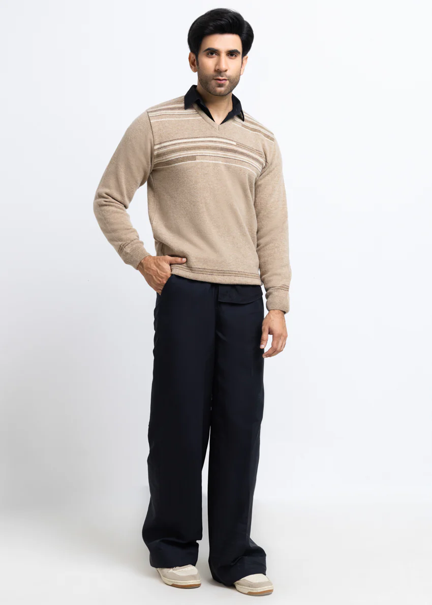 Mashroom-V-Neck Full Sleeves Sweater (509-14) - Image 4
