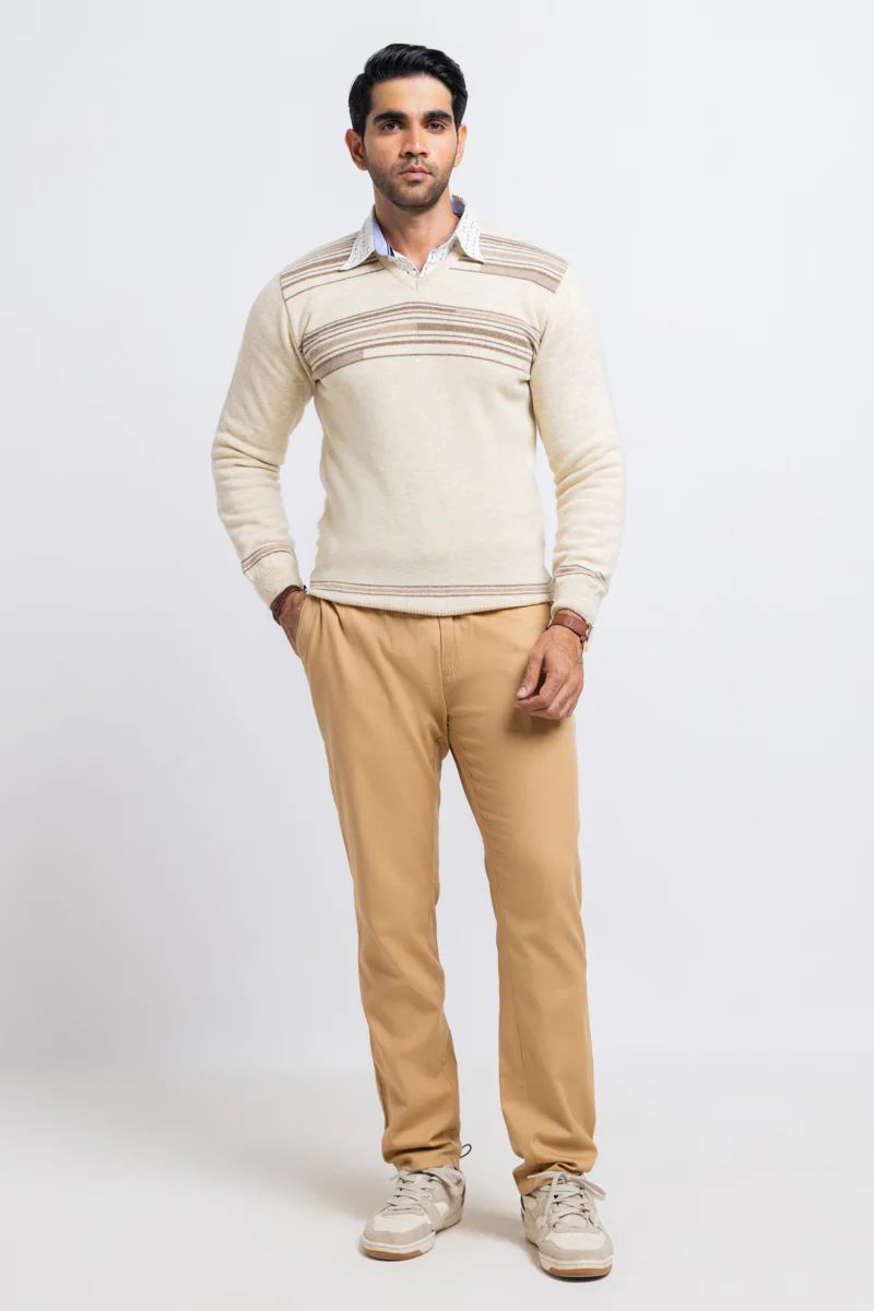 Swan-V-Neck Full Sleeves Sweater (509-14) - Image 3