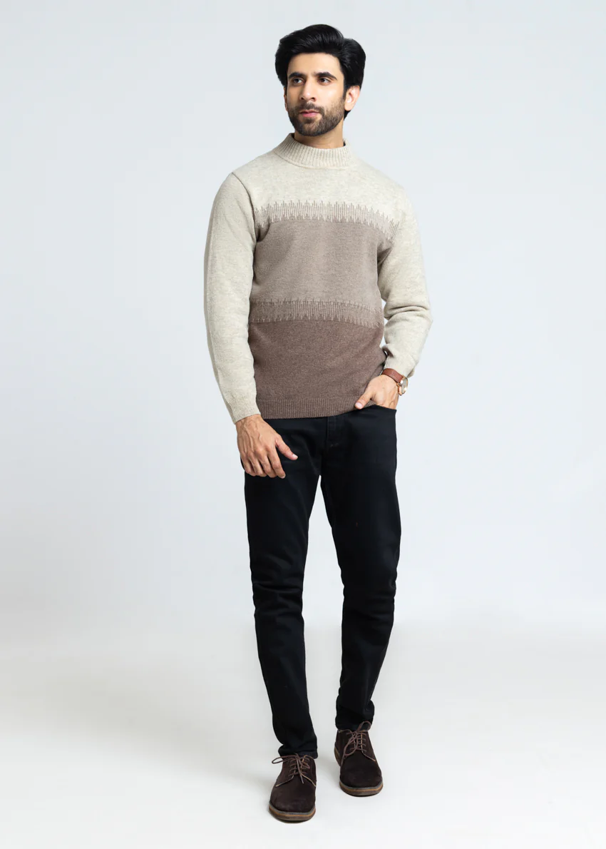 N-Stone-Round Turtle Neck Full Sleeves Sweater (854-14) - Image 5