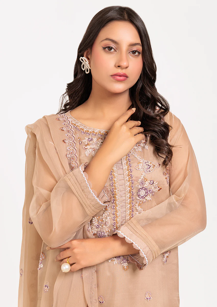 BEIGE-ORGANZA-3 PIECE (BPS5243P16) - Image 4