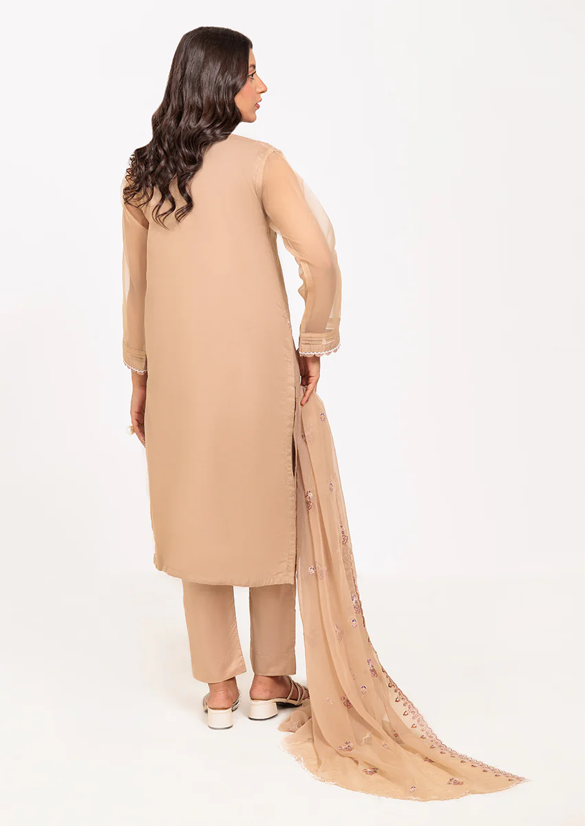 BEIGE-ORGANZA-3 PIECE (BPS5243P16) - Image 5