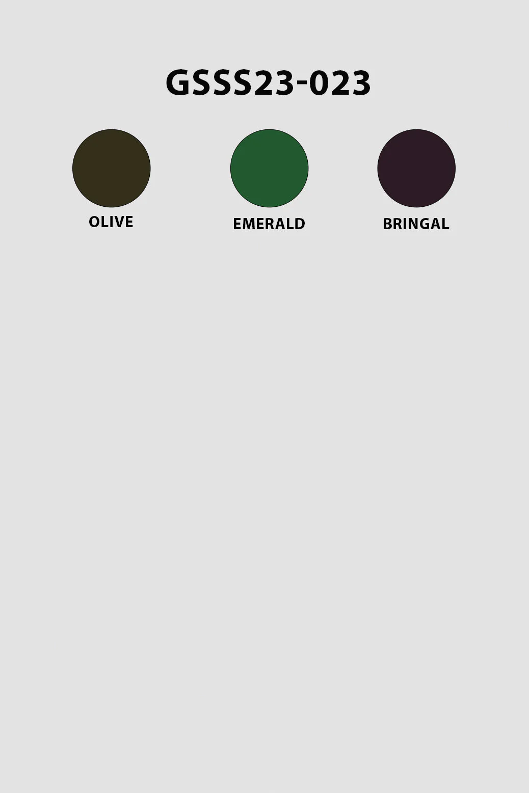 BRINJAL-BLENDED-SHALWAR SUIT - (GSSS23-023) - Image 6