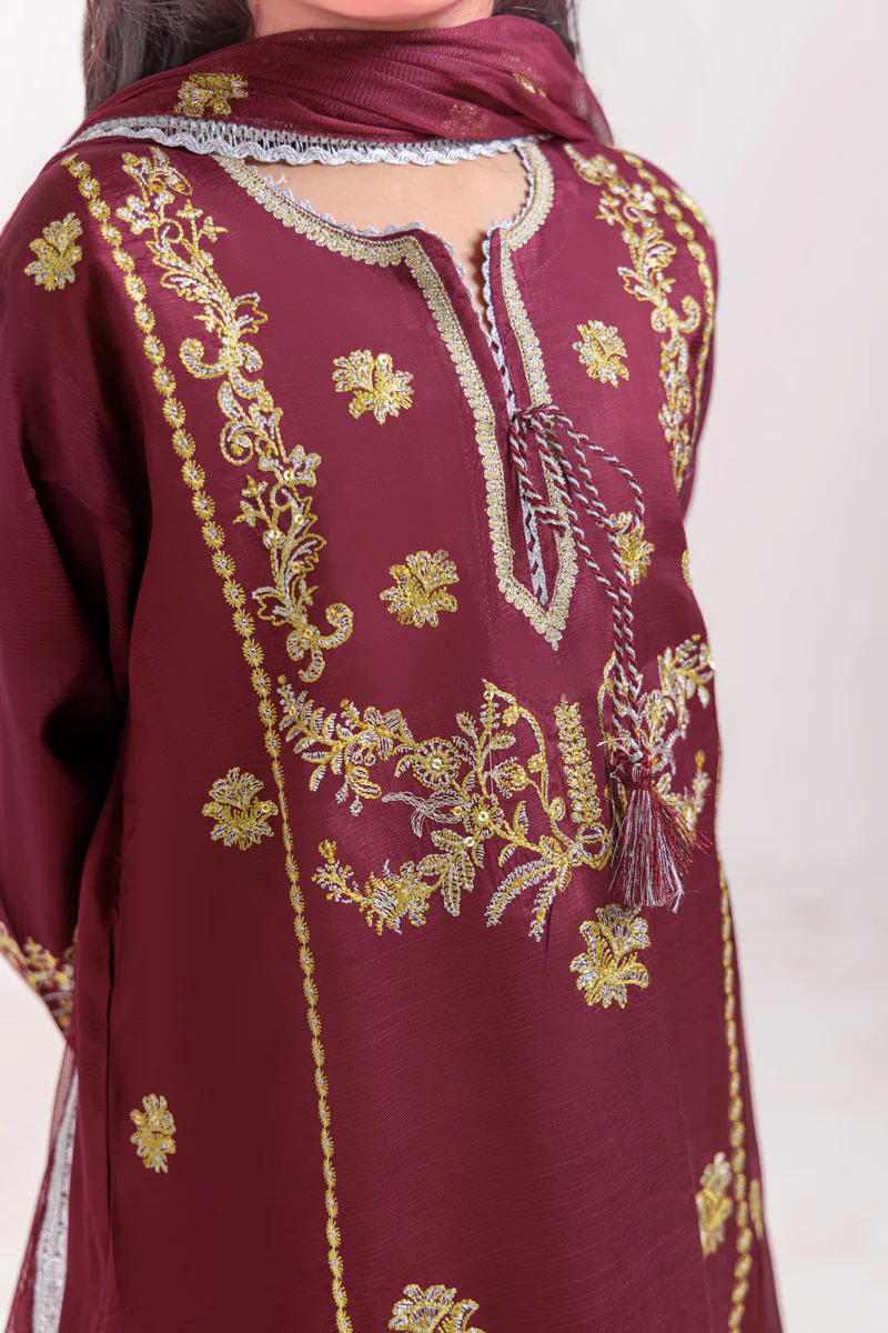 Burgundy-Raw Silk-3 Piece (G25FE3012) - Image 3