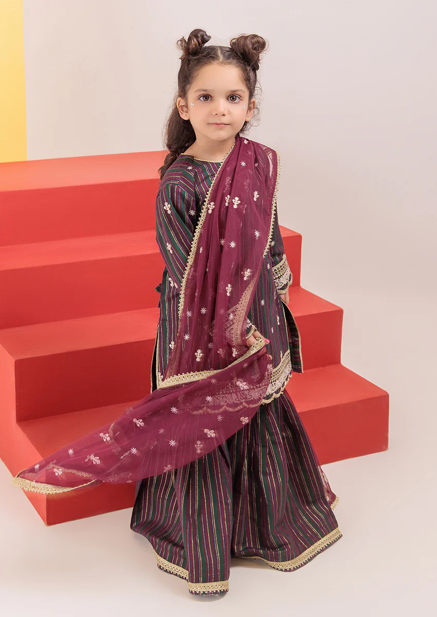 Burgundy-Maisuri-3 Piece (G25FE3023) - Image 4