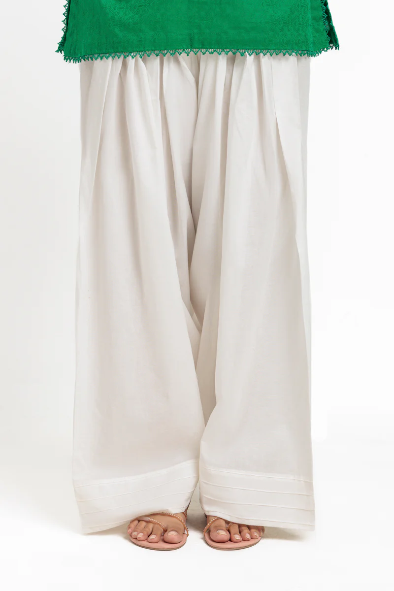 Dyed Cambric Shalwar (WPBTSBAISSA9O3)