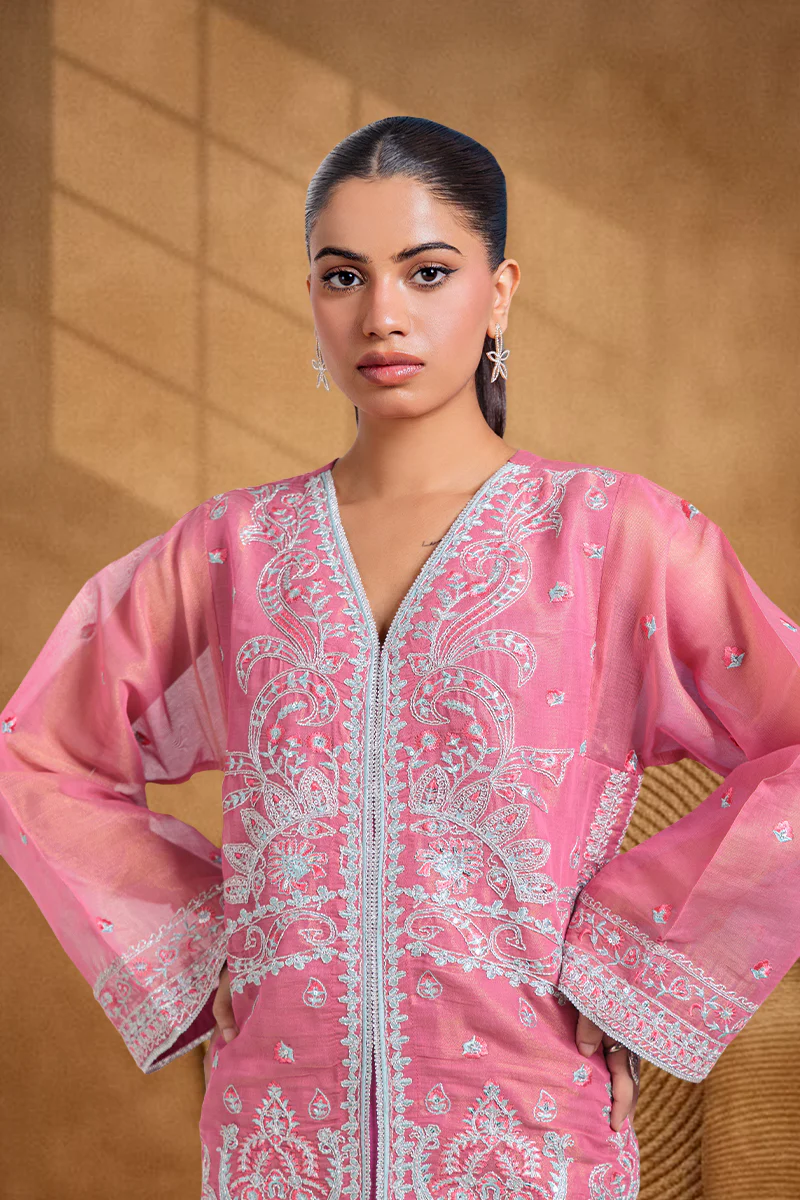 Pink-Fancy Zari-2 Piece (WPS252FE3041) - Image 3