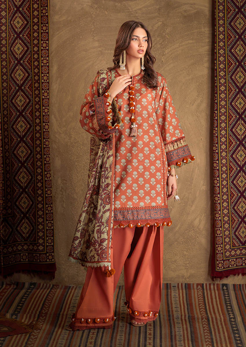 Phulkari - 3 PC (WSS25P3023) - Image 3