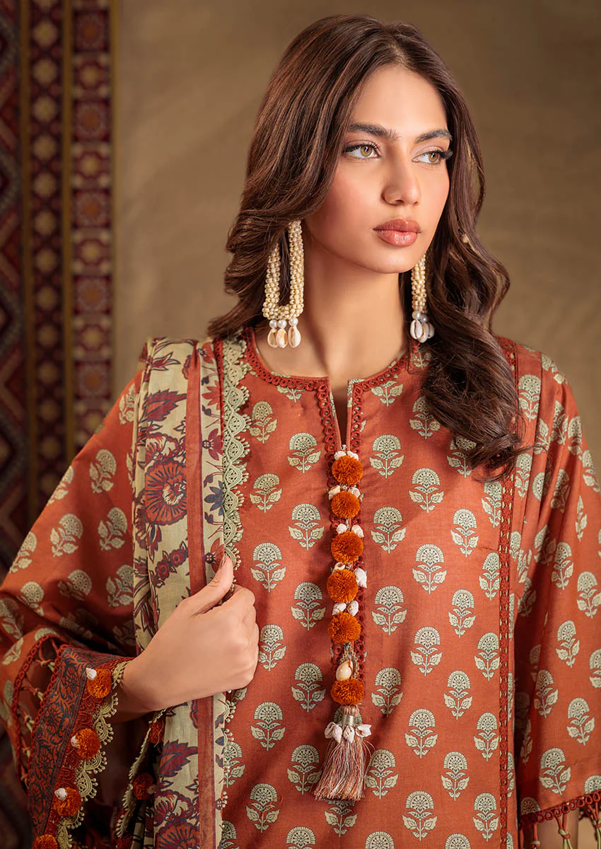 Phulkari - 3 PC (WSS25P3023) - Image 4